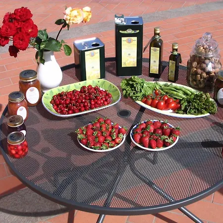 Il Poderaccio スカンディッチ